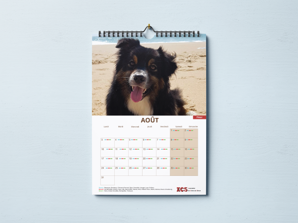 Calendrier 2026 – Image 2