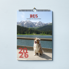Calendrier 2026